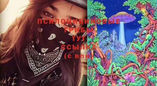 гашик Балабаново