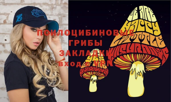 гашик Балабаново
