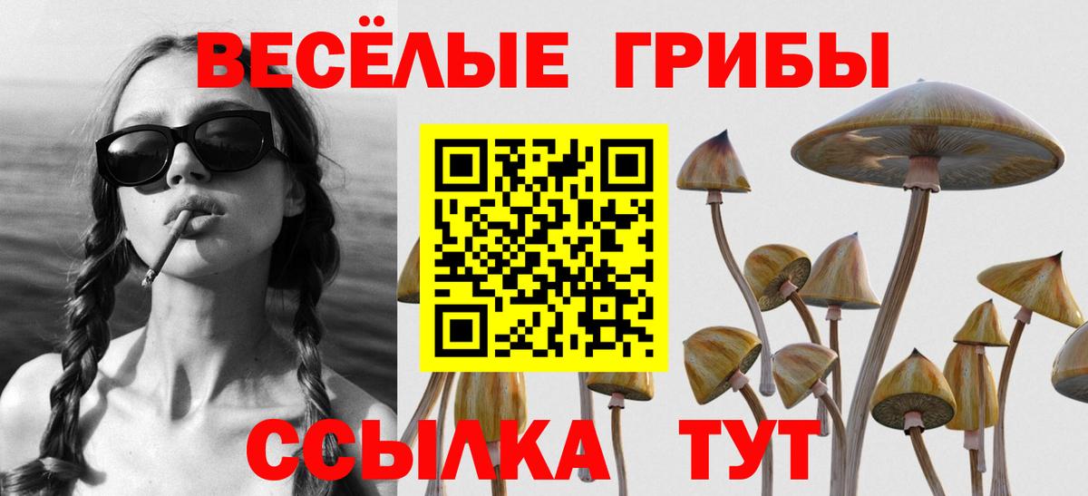 Коммунар  Псилоцибиновые грибы MAGIC MUSHROOMS  Вход с VPN 